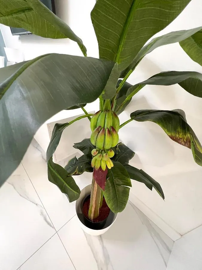 אדחה Apartament Sunrise ספרד